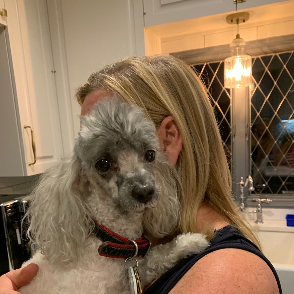 Meet your Posher, Wendy